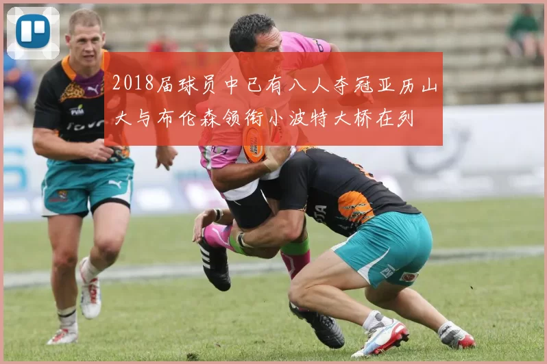 2018届球员中已有八人夺冠亚历山大与布伦森领衔小波特大桥在列
