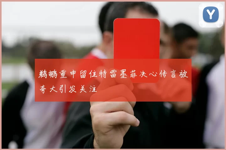 鹈鹕重申留住特雷墨菲决心传言被夸大引发关注
